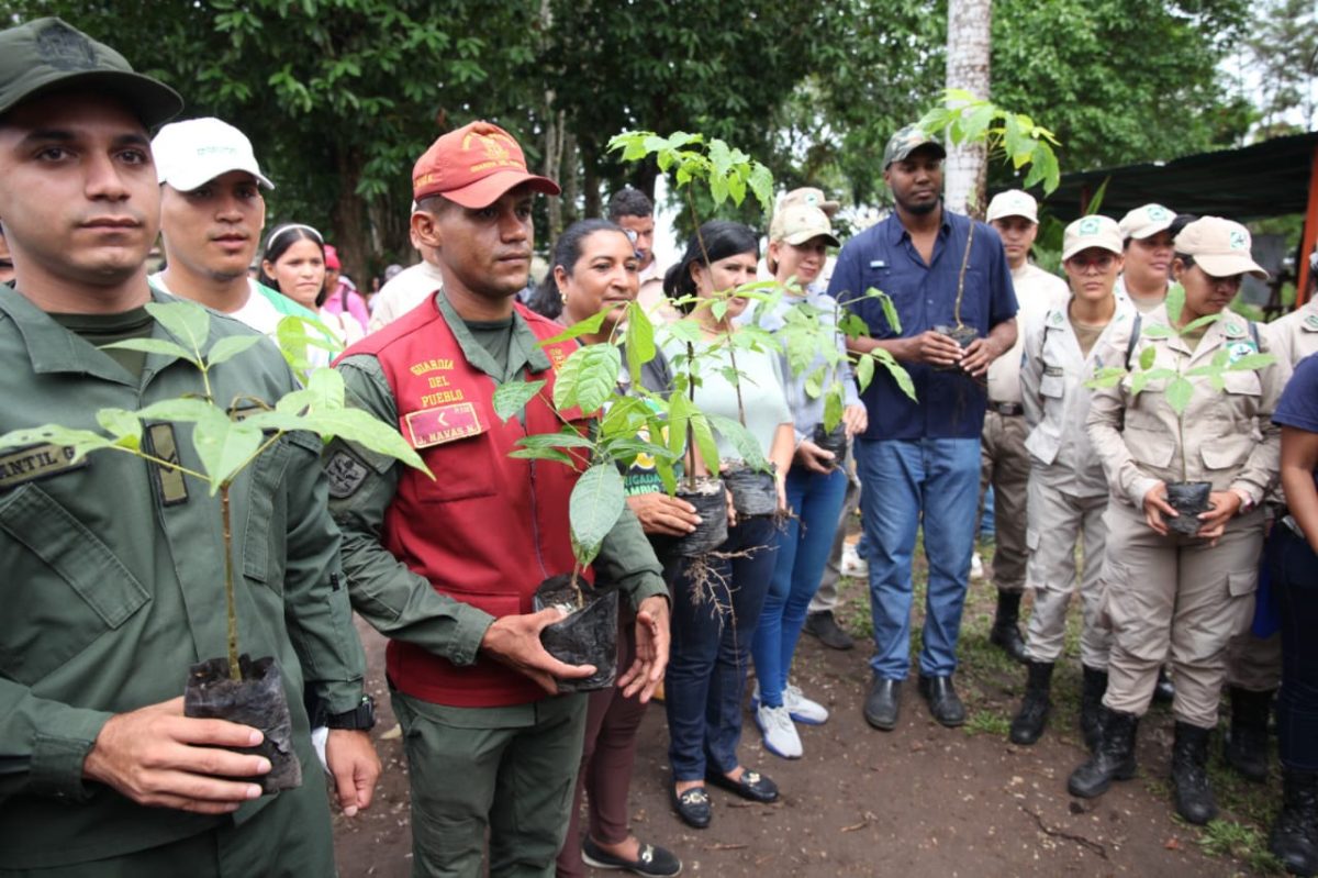ministerio de ecosocialismo relanza mision arbol con siembra de 1 500 plantas en monagas laverdaddemonagas.com arbol3