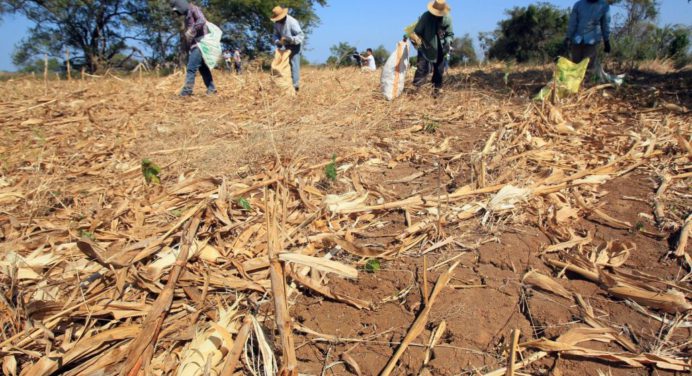 ONU advierte que fenómeno El Niño aumentará el hambre en Centroamérica en los próximos meses