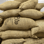 venezuela exporta por primera vez cacao de caripito a rusia laverdaddemonagas.com image