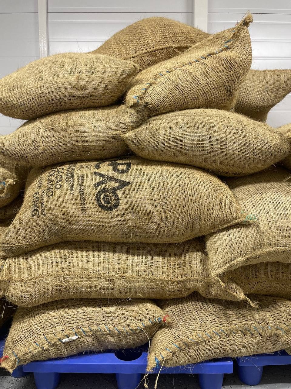 Venezuela exporta por primera vez cacao de Caripito a Rusia 