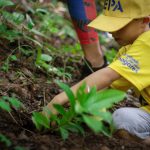 EPA y la comunidad realizaron labores de reforestación en El Casupo