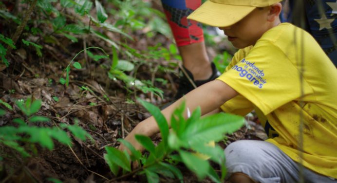 EPA y la comunidad siembran 200 plantas para reforestación en El Casupo