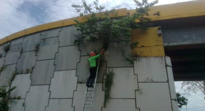 Alcaldía de Maturín realiza jornada especial de limpieza en distribuidor Bajo Guarapiche