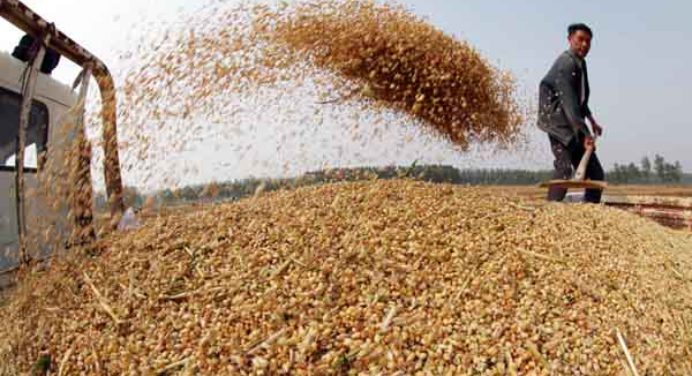 Cierra uno de los molinos de trigo más grandes en Venezuela