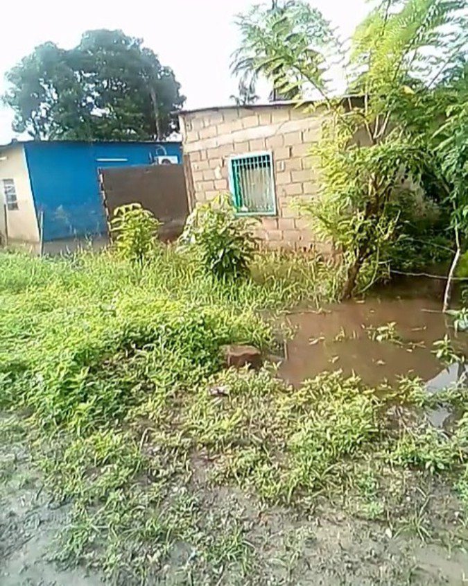 Cuando llueve las casas se inundan con el agua del caño