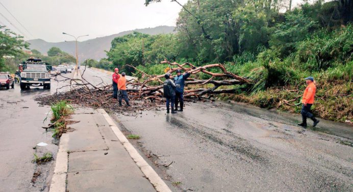 Fuertes lluvias causaron la caída en los servicios públicos de Mérida