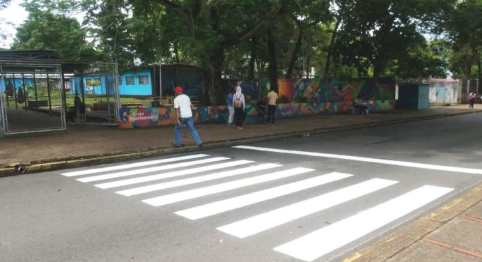 Liceístas realizan proyecto de rayado vial en la avenida Bolívar