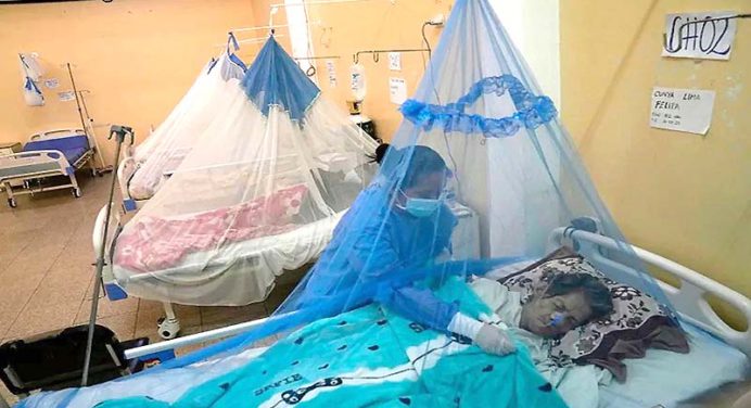 Perú registra más de 168.000 casos de dengue y cerca de 300 muertos