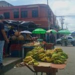 Vendedores adquieren frutas y verduras de mayoristas