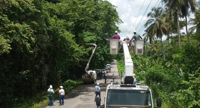 Corpoelec ejecuta mantenimiento integral al sistema eléctrico en el noreste de Monagas