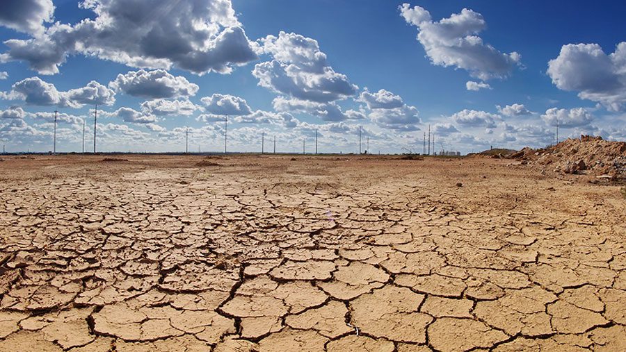 Declaran oficialmente El Niño a nivel global