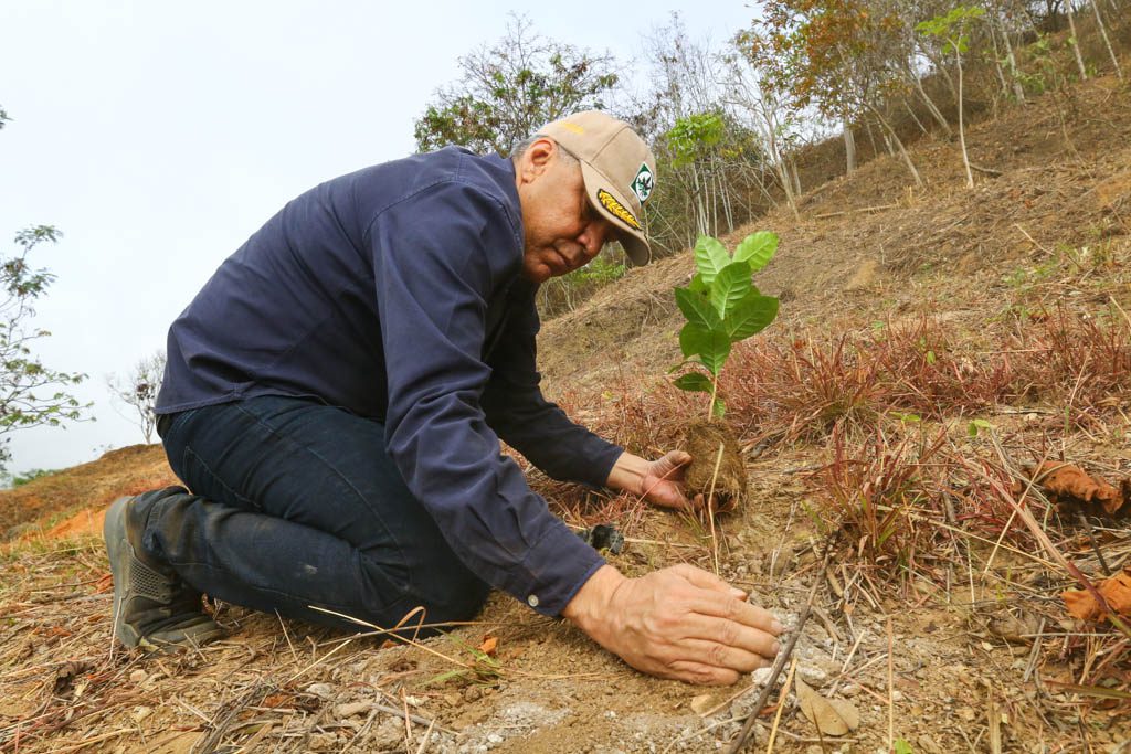 Los guardas forestales también cumplen una misión de preservar la flora y la fauna