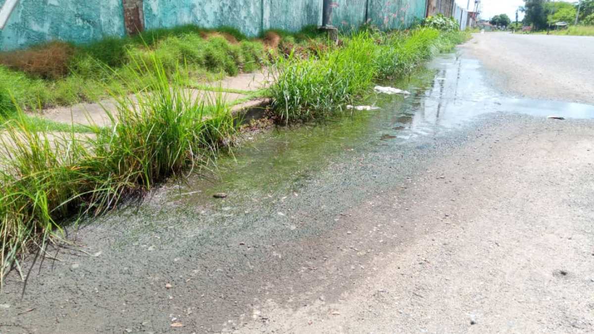 Las cloacas se desbordan y se meten a las casas