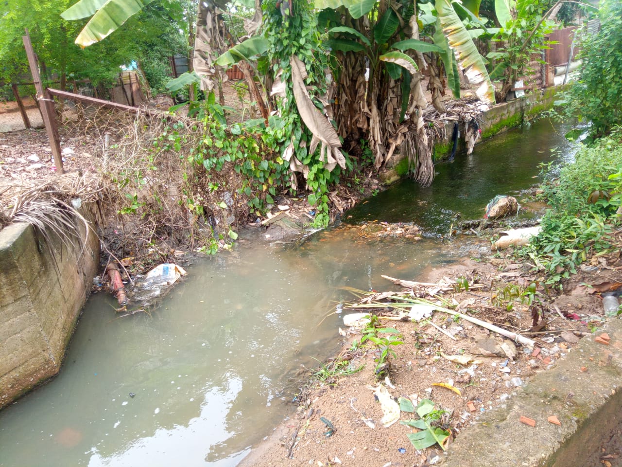 En la parte alta el caño tiene basura