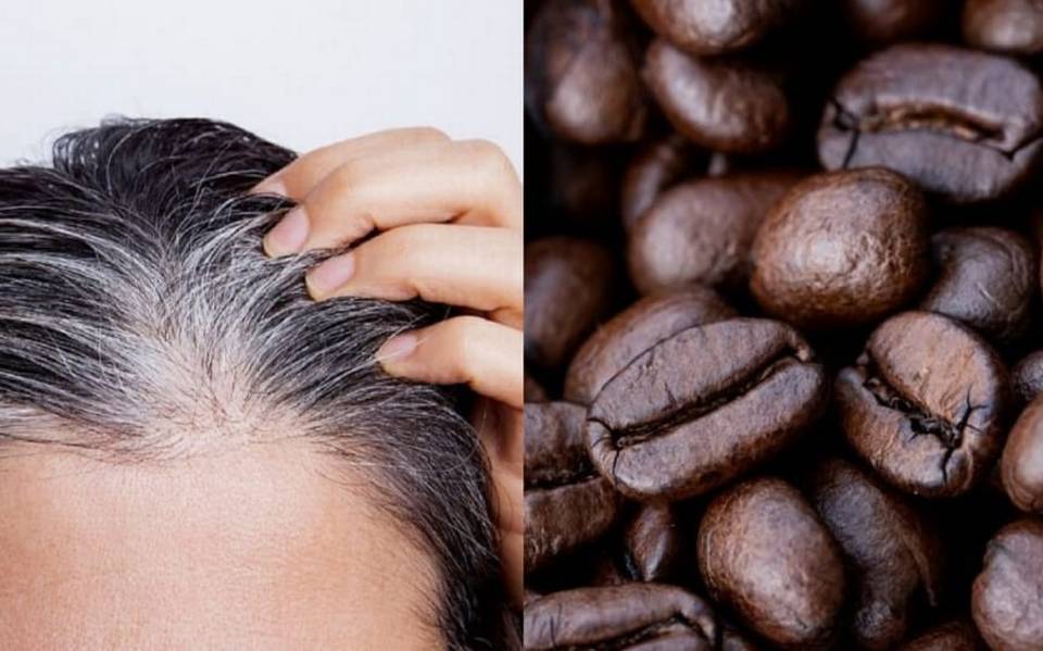 esto le pasara a tu cabello si le agregas cafe al shampoo laverdaddemonagas.com el cafe es un tinte natural para el cabello