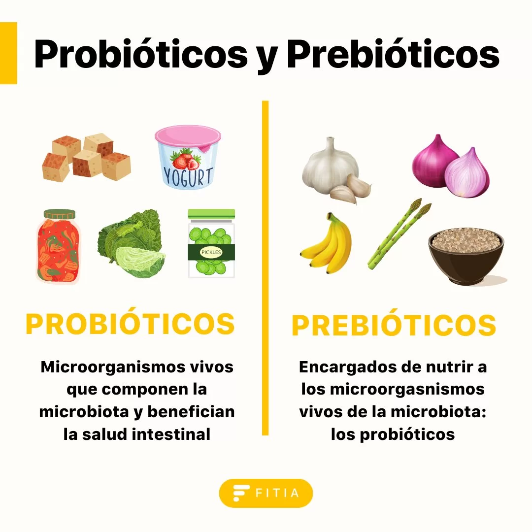 por que son necesarios los prebioticos para la salud intestinal laverdaddemonagas.com por que son necesarios los prebioticos para la salud intestinal laverdaddemonagas.com 122825062 687501305481214 29