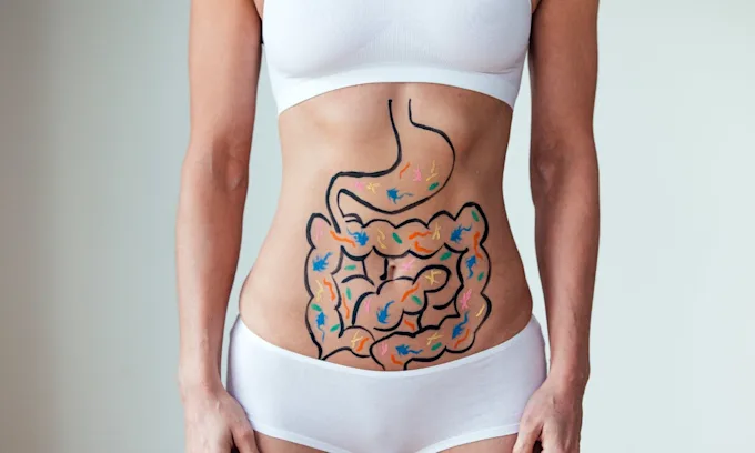 ¿Por qué son necesarios los prebióticos para la salud intestinal?