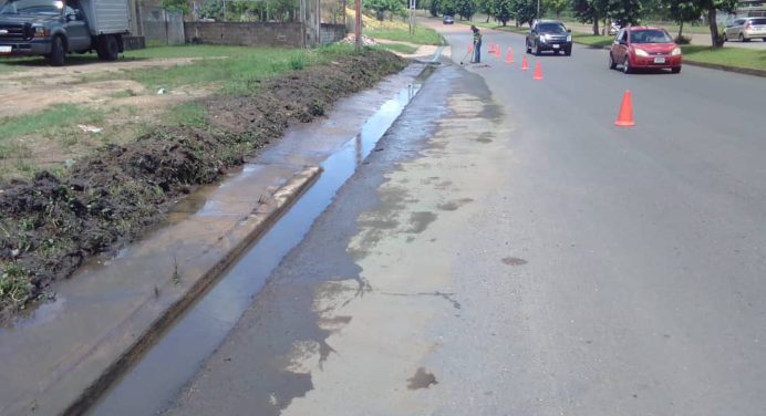 Alcaldía de Maturín realiza saneamiento de la avenida Cruz Peraza
