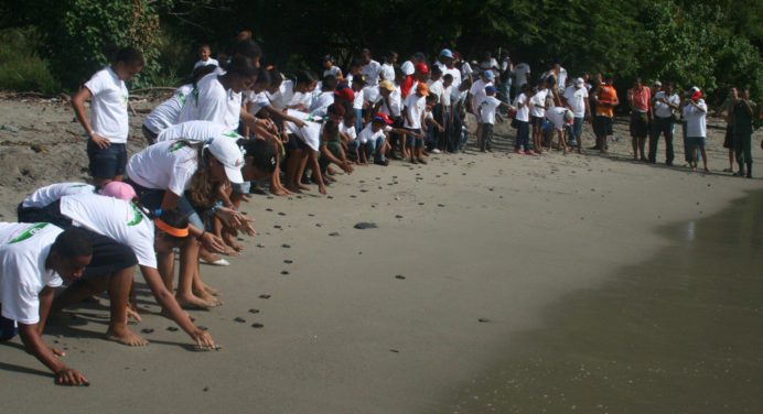 Bancamiga se une a los esfuerzos de conservación de las tortugas marinas en Paria