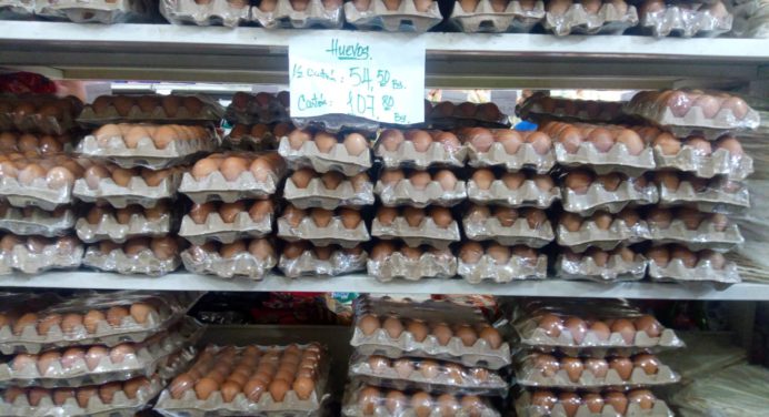 El cartón de huevos subió más de 20 bolívares esta semana en Maturín