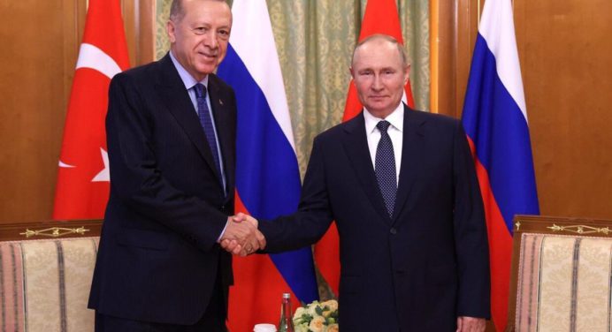 Erdogan pide a Putin renovar acuerdo del grano para bajar tensión del conflicto