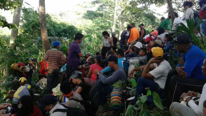 gobierno de panama evalua cerrar paso de migrantes por el tapon del darien laverdaddemonagas.com migrantes en el tapon del darien 1