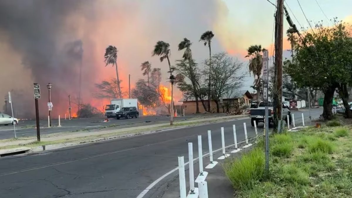 Incendios forestales dejan 36 muertos y arrasan varias localidades en Hawái