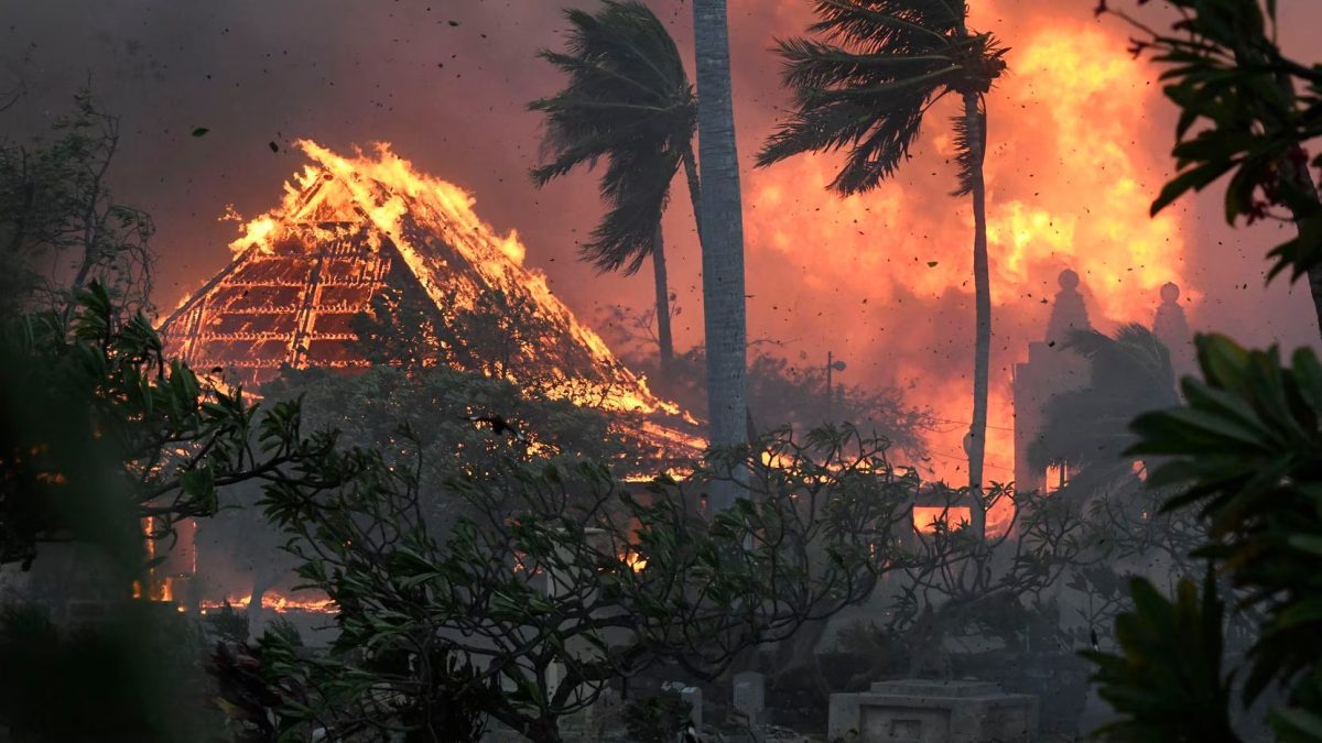 incendios forestales arrasan varias localidades en hawai y dejan 36 muertos laverdaddemonagas.com wian3bnv3uxnpsb3stg6jkgzl4