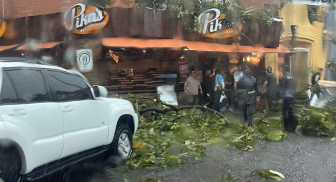 Lluvias en Caracas dejaron árboles caídos e inundaciones este viernes (+videos)