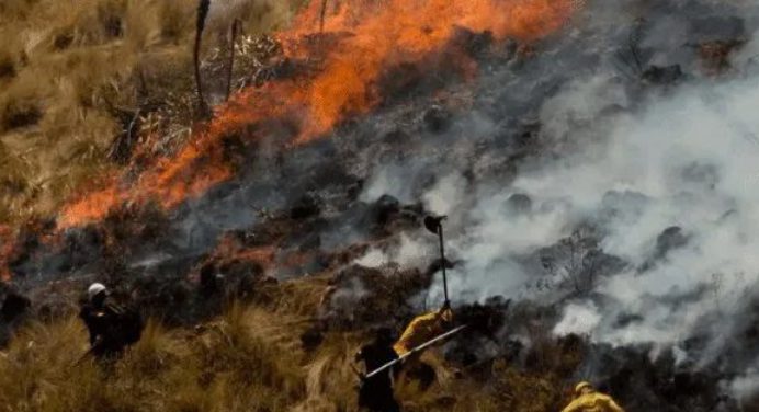Suben a cuatro el número de fallecidos por un incendio forestal en Perú