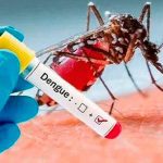 dengue