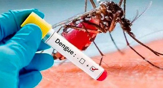 Vicepresidenta de Sociedad de Infectología alerta de aumento de casos de dengue en el país