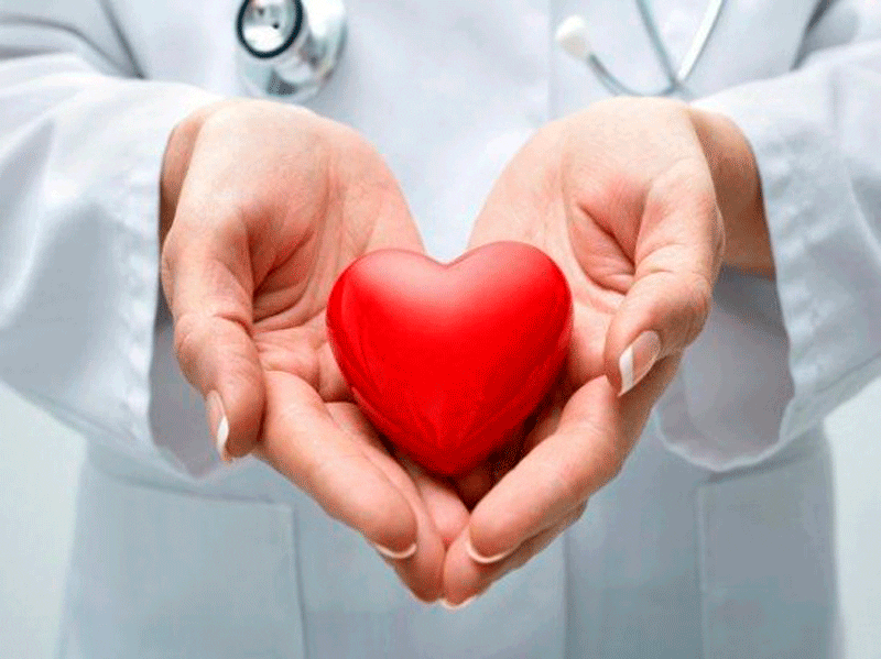 Día Mundial del Corazón: Cada 29 de septiembre se hace un llamado de conciencia