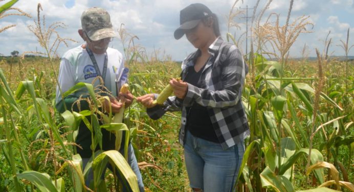 85 productores de Cedeño financiados por el plan Conuco recibieron visita técnica
