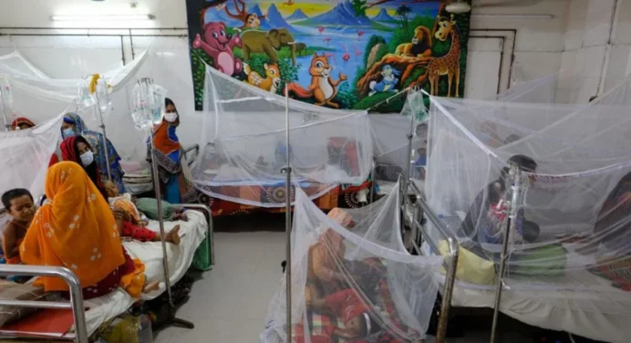 950 muertos en el peor brote de dengue en Bangladesh