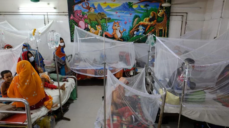 Bote de dengue golpea a Bangladesh: 950 muertos y 200.000 infectados