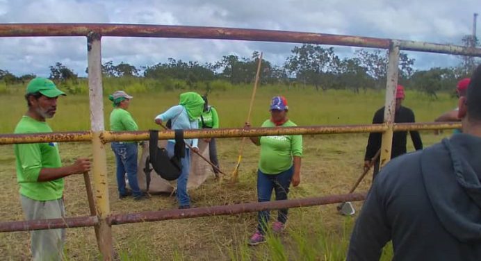 Alcaldía intensifica plan de desmalezamiento en parroquias de Maturín