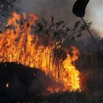 incendios