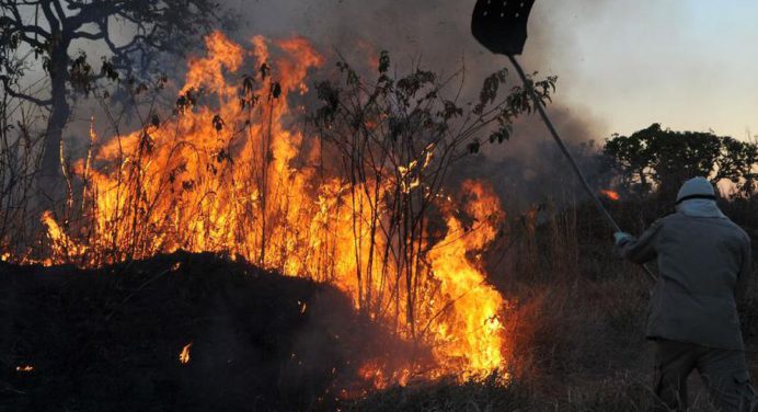Aumentan los incendios en el centro de la Amazonía brasileña