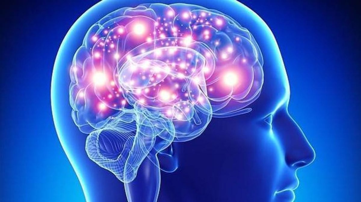 datos curiosos sobre el cerebro que te sorprenderan laverdaddemonagas.com cerebro abc kuqc kuh koc 1248x698abc