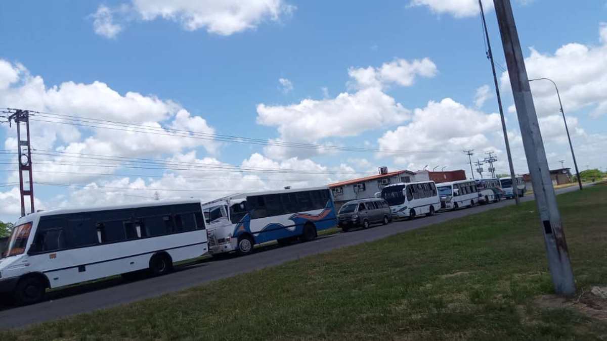 Mañana la Vinotinto paralizará la ciudad por juego contra Paraguay 2 manana la vinotinto paralizara la ciudad por juego contra paraguay laverdaddemonagas.com buses al monumental
