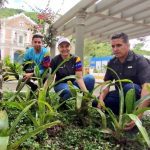 Siembran más de 300 bromelias en plaza Bolívar de San Antonio