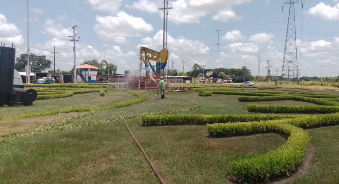 Siembra de 3 mil 500 plantas embellece a Maturín