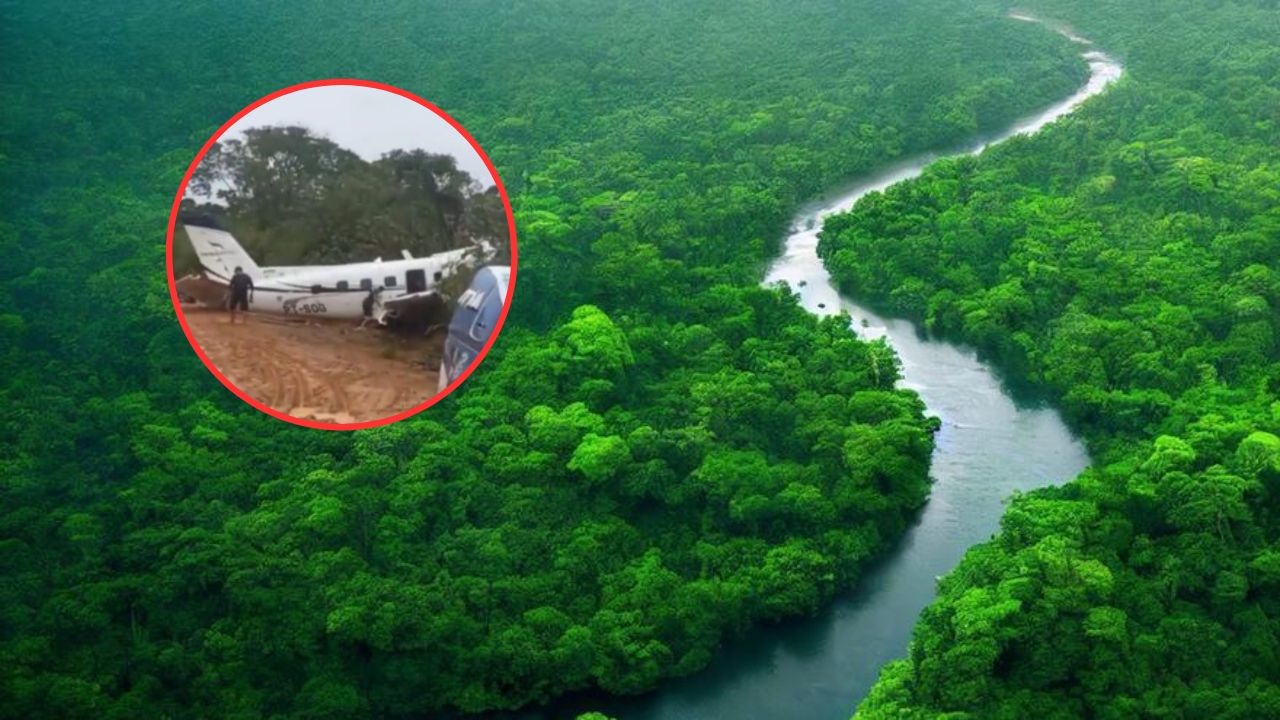 tragedia en brasil una avioneta cae en la selva amazonica y mueren las 14 personas laverdaddemonagas.com principal avioneta cae amazonia 14 muertos