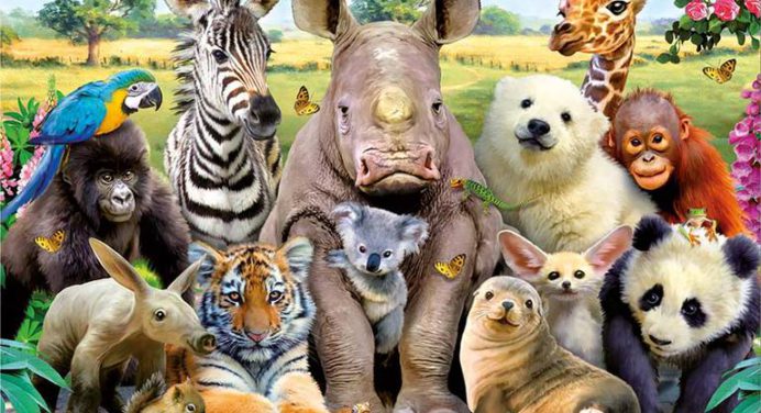 #4oct Día Mundial de los Animales: ¿ Siguen siendo los mejores amigos del hombre?