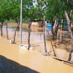 Fuertes precipitaciones causan anegaciones