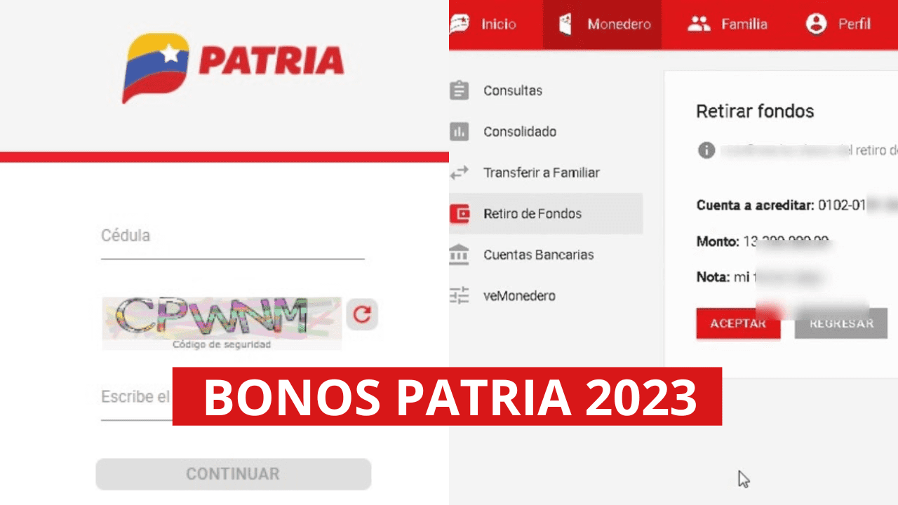 bonos del Sistema PATRIA