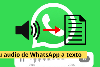 tus audios de WhatsApp a texto