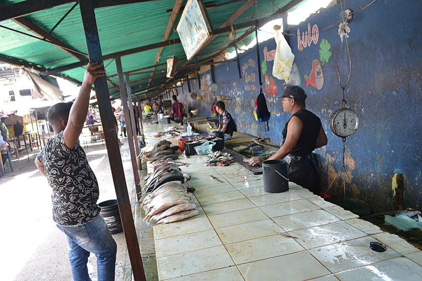 Reportan baja en venta de pescado en el mercado de Los Bloques 1 pescado