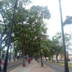 paseo bolívar